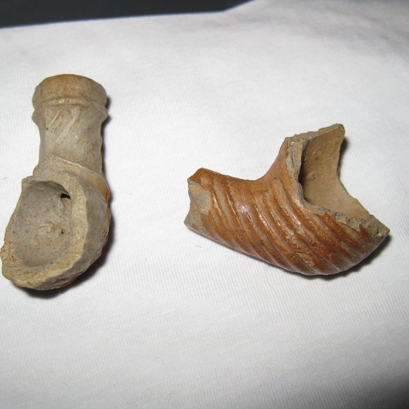 Indian Pipes from the mid west - Picture 2 of 16